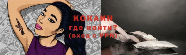 молекула духа Горняк