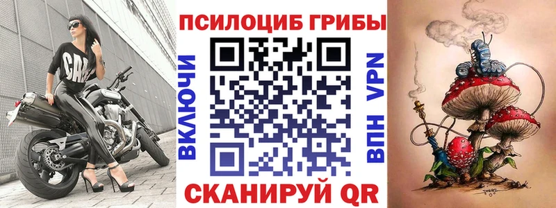 купить  сайты  ОМГ ОМГ ONION  Псилоцибиновые грибы MAGIC MUSHROOMS  Дмитров 